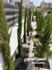  11 تنسيق حدائق