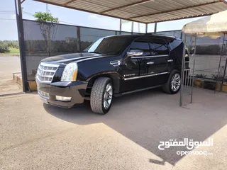  7 كاديلاك اسكاليد بلاتينيوم للبيع