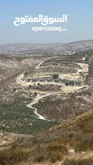  1 ارض منطقة العامريه - نابلس للبيع