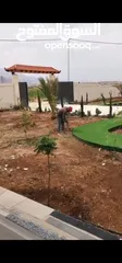  4 شاليه ومزرعه للبيع غور عسال بالقرب من مدينة البوتاس