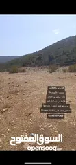  7 ارض مميزة للبيع