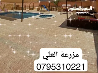  15 مزرعة و شالية للبيع
