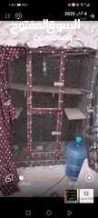  2 مطير حديد للبيع