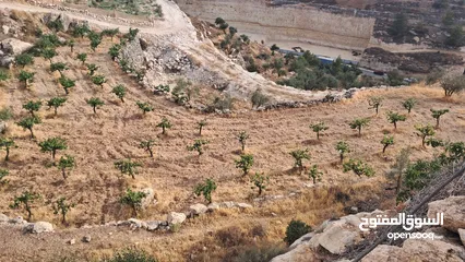  3 أرض في بيت كاحل مطلة على شارع واد القف