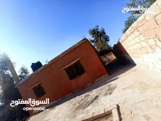 8 بيت مستقل للبيع في الهاشميه حي الفيحاء