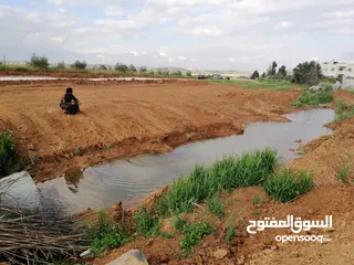  8 مزرع مميزه للبيع مع شاليه بلعما طريق بلعما  ربد