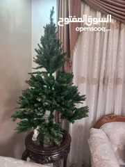  13 شجرة عيد الميلاد Christmas tree في الزرقاء شارع الكرامه