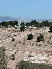  1 ارض للبيع جرش عنيبه سكان المهندسين
