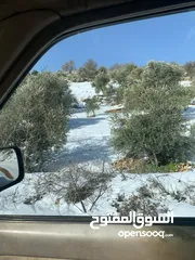  6 فرصة استثمارية! أرض زراعية مميزة بسعر مغري و بالقرب من أحراش الدولة للمزيد من المعلومات اقرأ الوصف