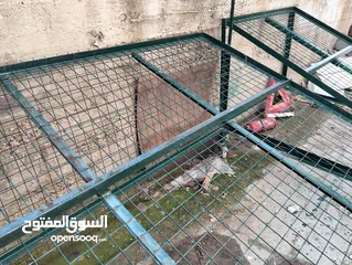  10 استاند عرض لمحلات الخضار والفواكة جودة ممتازة للبيع قابل للتفاوض