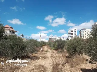  1 ارض دائرة السير