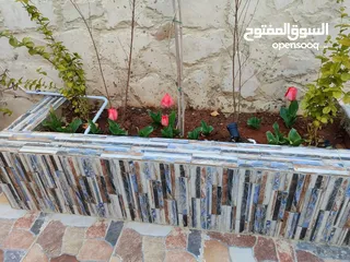  21 للبيع مزرعة أحلامك - مزرعة 3 دونم + فيلا ريفية 220م