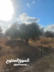  2 أرض للبيع للبناء مساحة 670 متر مربع مرتفعة ومطلة وقريبة من جامعة بير زيت