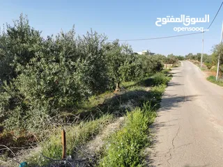  8 قطعة أرض مميزة في السلط الصبيحي سيحان بسعر مغري بمنطقة جميلة