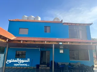  22 شارع الاردن الكمشة العالوك
