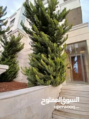  3 شقة ارضية للبيع في دير غبار جديدة لم تسكن