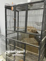  1 2 big iron bird cages for sale