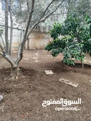  1 منزل منفصل للبيع