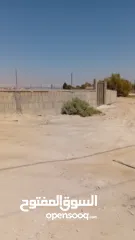  1 قطعة أرض للبيع في منطقة اريحا