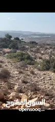  1 ارض للبيع فؤ عين سينيا المساحه 9 دونم