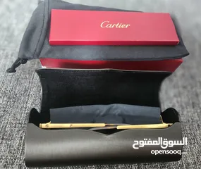  17 Cartier sunglasses