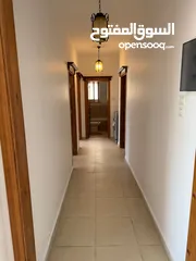  21 شقة مفروشة في المصيون