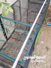  8 قفص حديد كبير للطيور او الارانب او الحيوانات الصغيرة