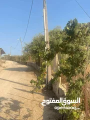  1 اراض 9 دونم مع مشروع مزرعه جاج مرخصه و موقع استراتيجي قريب ع معبر تجاري و مدخل اهل الداخل محتل