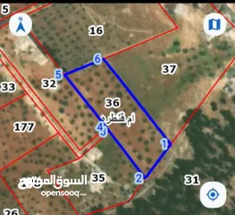 3 قطعة ارض دونم و 400 متر