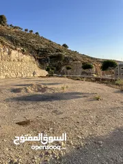  20 مزرعة في مغاريب السلط من المالك مباشرة