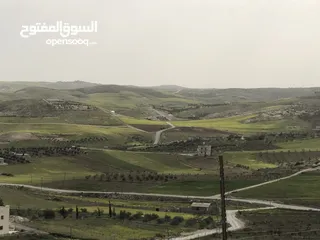 11 أرض بسعر مغري