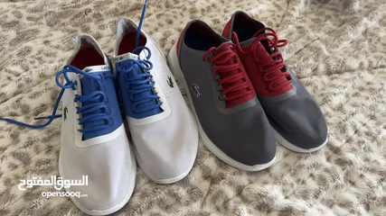  19 Lacoste collection of men's footwear