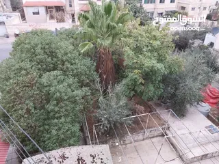  10 عمارة 4 طوابق للبيع في حي نزال على دونم ارض تحتوي 8 شقق وروف من المالك