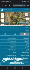  2 3 دونمات في عجلون/صخرة للبيع بسعر مغري