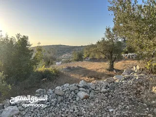  3 ارض للبيع في رام الله