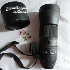  1 sigma 150-600mm contemporary for canon