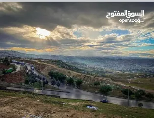  4 قطعه ارض مميزة بطلتها فوق شارع الاردن