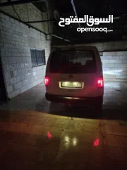  3 كادي شصي طويل