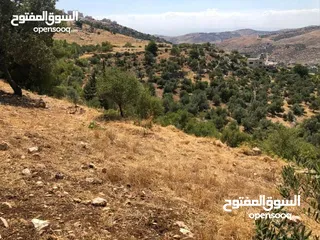  2 قطعه ارض للبيع
