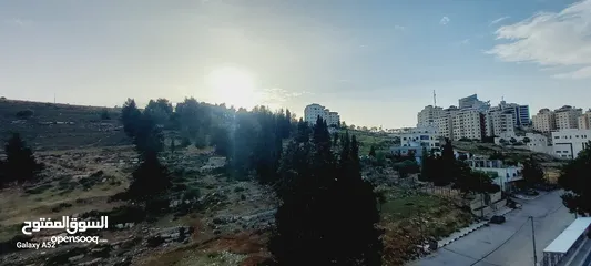  12 شقة لقطة للبيع بعين منجد