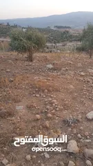  29 قطعة أرض مميزة مطلة في اجمل مناطق جرش - الكفير - القبسية
