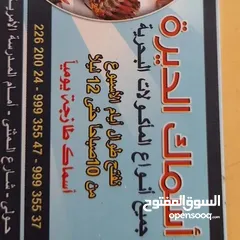  7 أسماك الديره