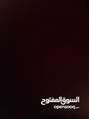  4 شقة للايجار محدود الوسط
