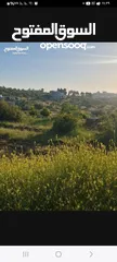  1 ارض للبيع في منطقه بتونيا  مساحه 800متر صالحه للبيناء  فيلا او اسكان