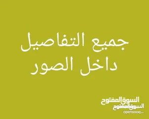  2 فقاسات اوسكار  احدث اصدار 2025