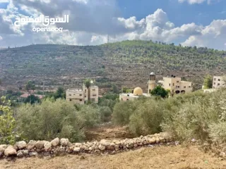  1 ارض للبيع في بيت لحم بلدة بتير