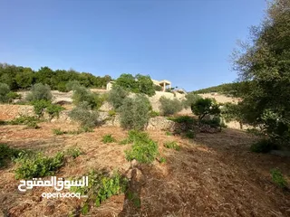  4 مزرعه للبيع في عجلون شمال شرق القلعه طريق مار الياس