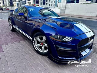  9 luxury interior body kit 2023 shelby super clean  car less km