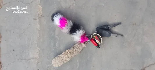  3 موتر كهرباء
