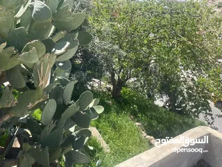  7 منزل مستقل للبيع ارض /حجه/ مش قوشان  بسعر حرق طبربور ضاحيه الصفا